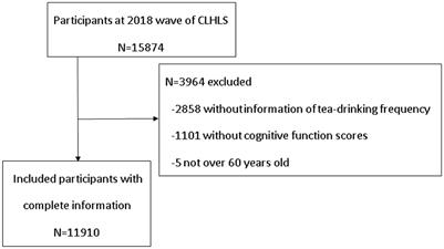 Does frequent tea consumption provide any benefit to cognitive function in older adults? Evidence from a national survey from China in 2018